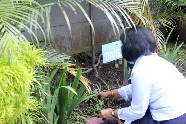 ZZZWujud Disiplin Pegawai9