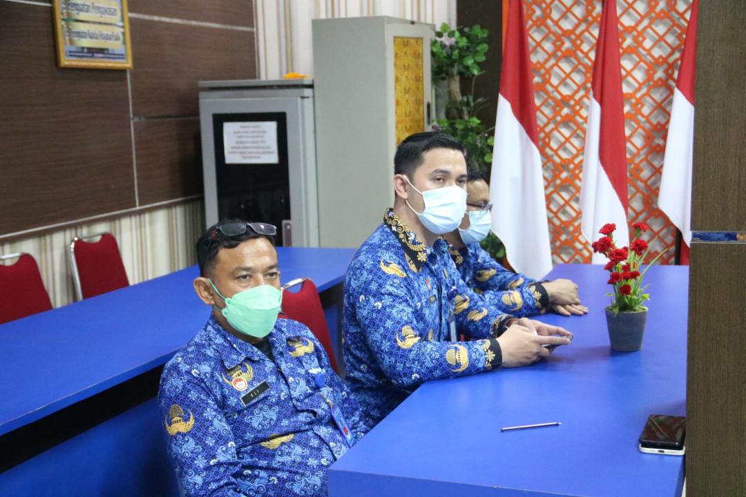 anevandap2