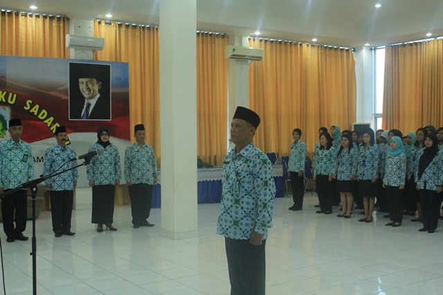 IMG 7371